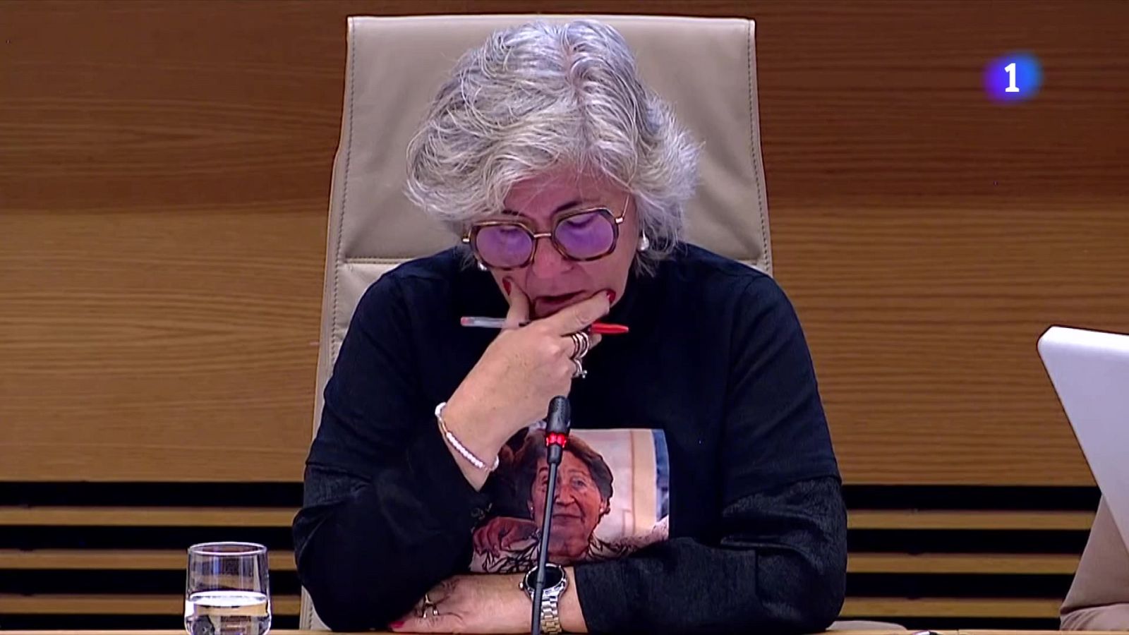 La veu de les víctimes de la DANA arriba al Congrés