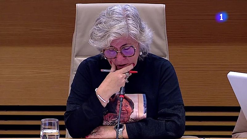 La veu de les víctimes de la DANA arriba al Congrés