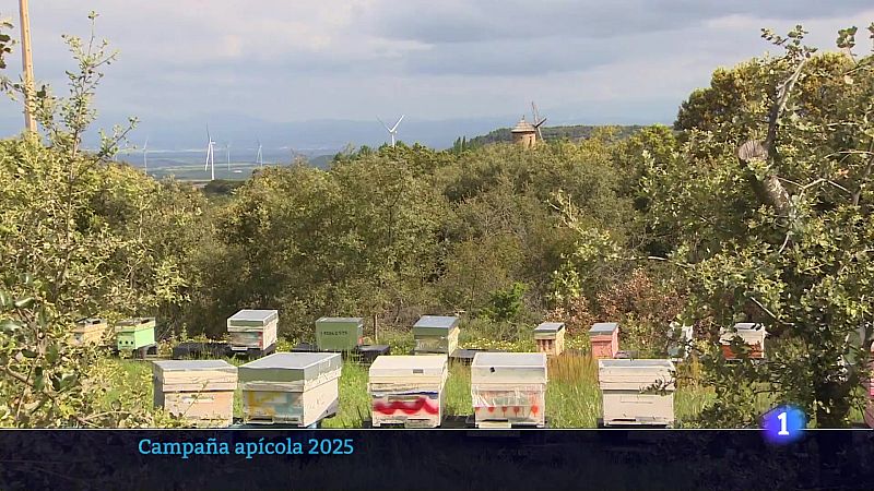 Informativo Telerioja 04-11-2025 | Ver