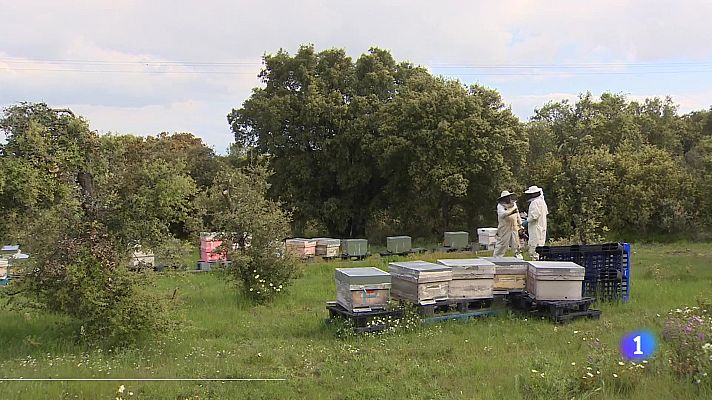 Informativo Telerioja - Informativo Telerioja 2 - 04-11-2025