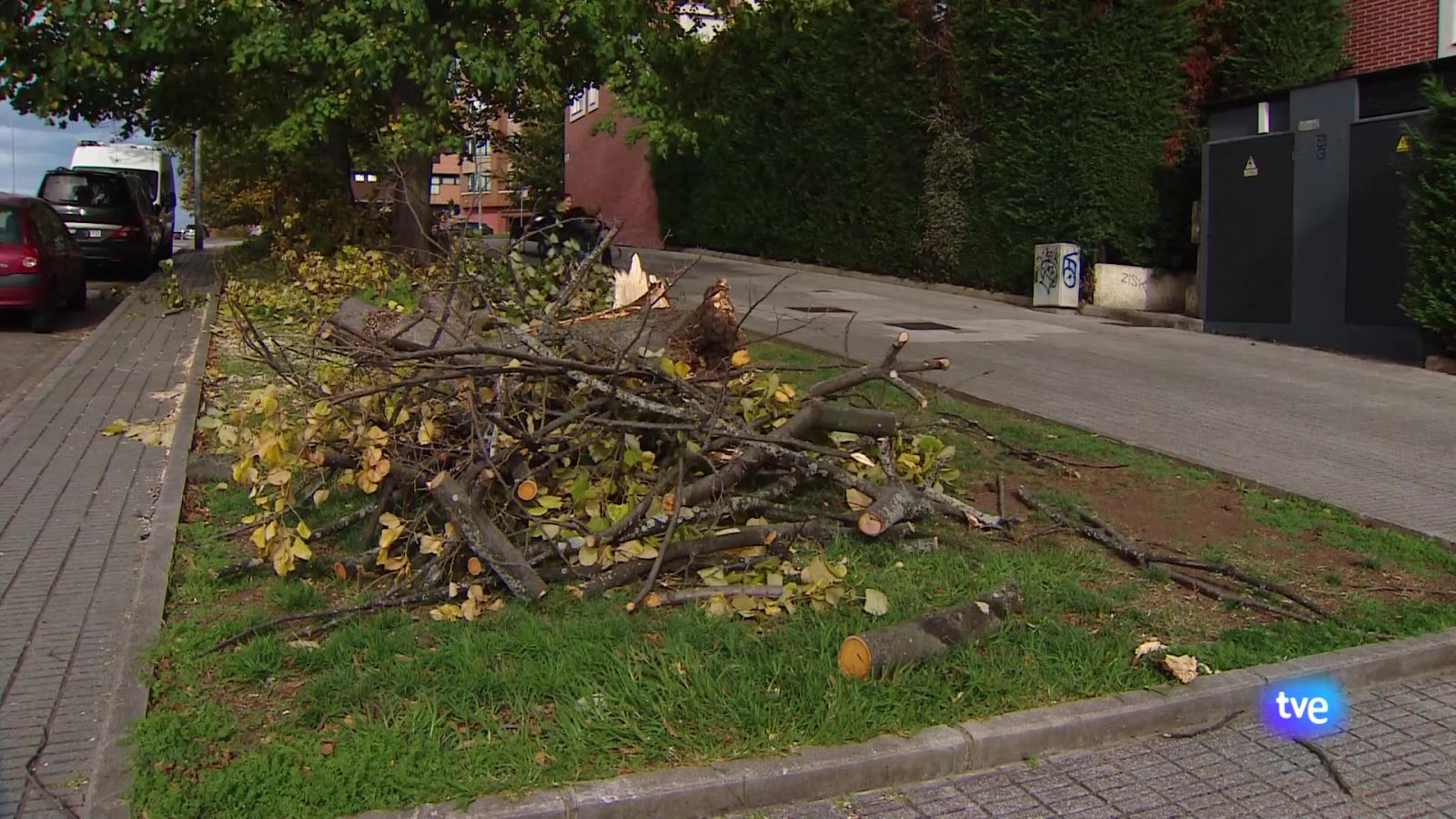 Asturias en 2' - 05/11/25 | Ver