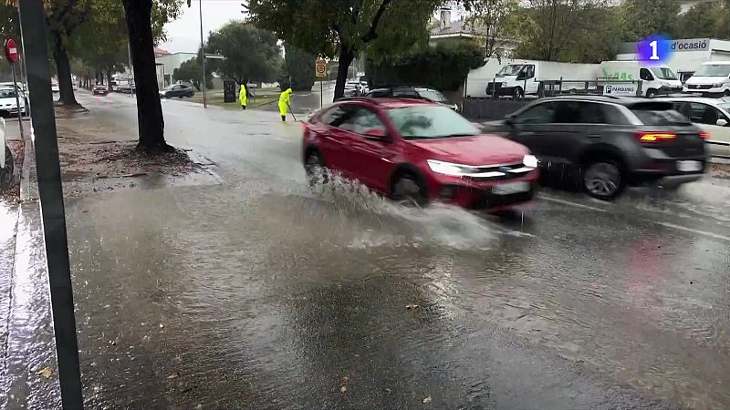 L'Informatiu - 06/11/2025