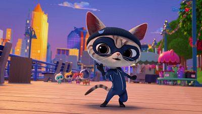 Los pijamas para gatos