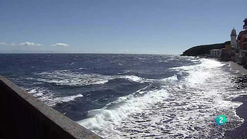 Telecanarias Tarde - 07/11/2025 | Ver