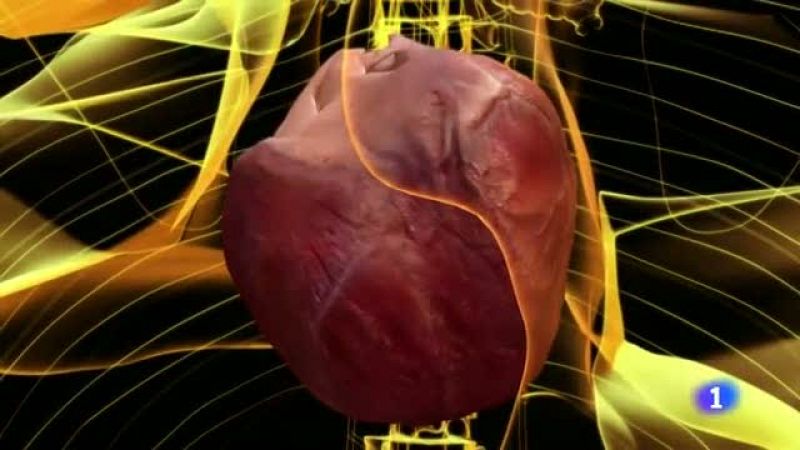 Un vídeo fet al Supercomputing de barcelona, el millor de l'any segons Science