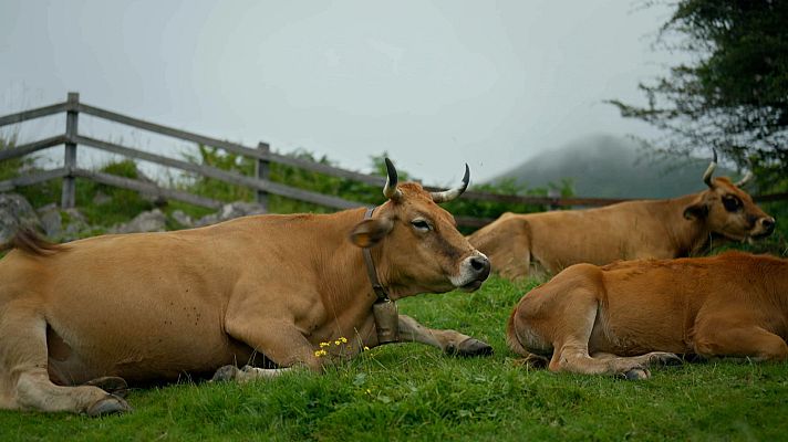 Esto es España - Astuarias, un tesoro entre montañas