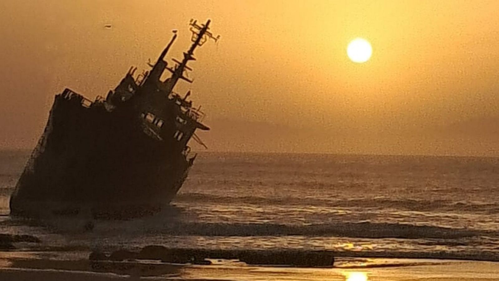 Informe semanal - Regreso a la última colonia | Ver