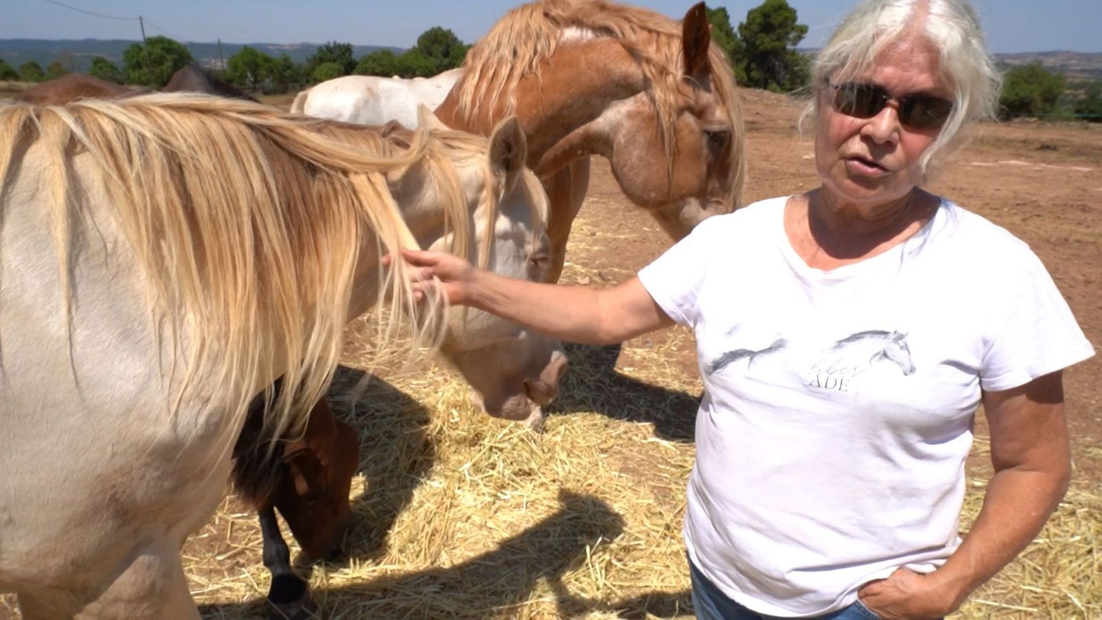 El escarabajo verde - Redención - El escarabajo verde | Ver