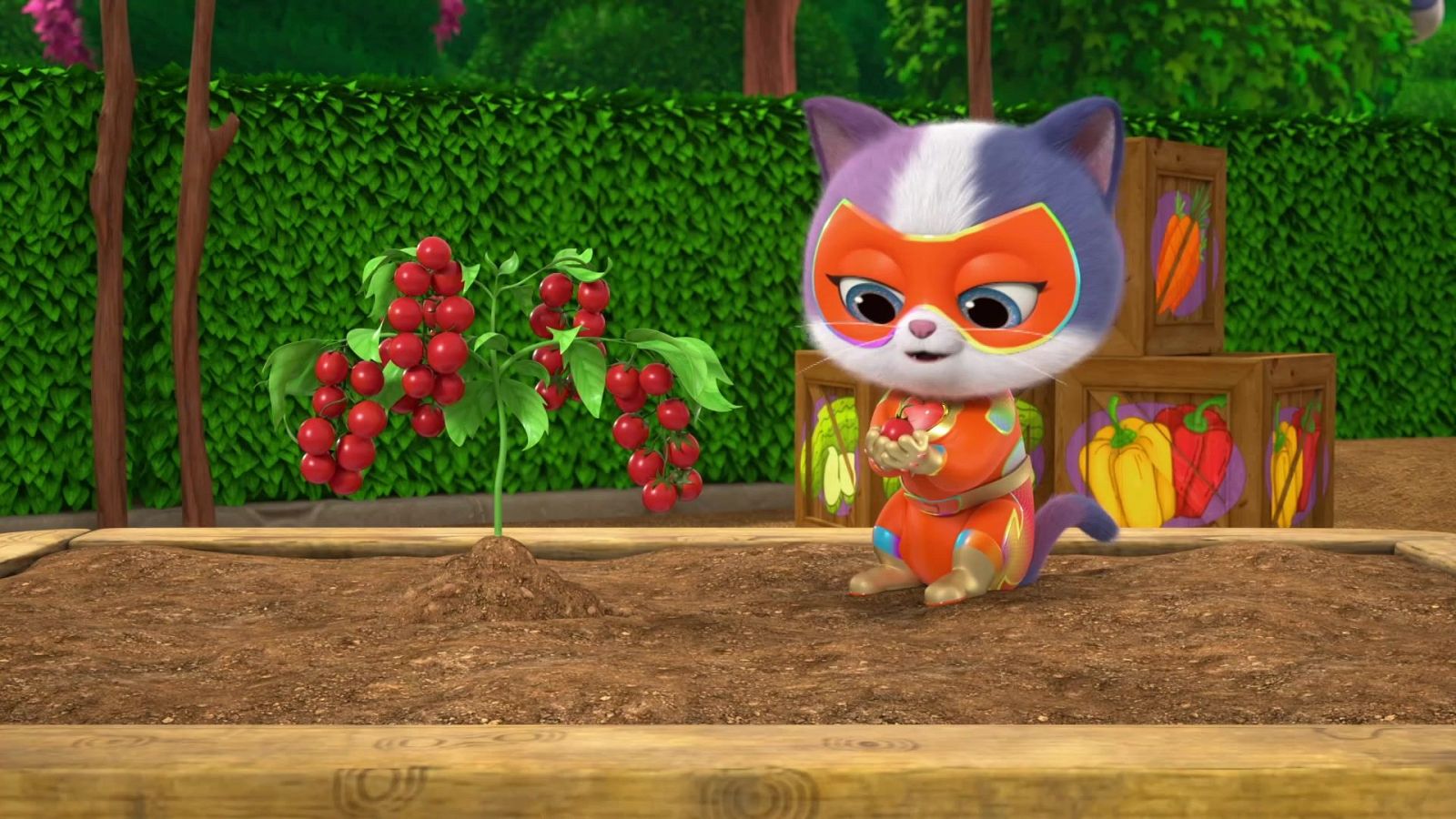 El robo de semillas - Superkitties | Ver