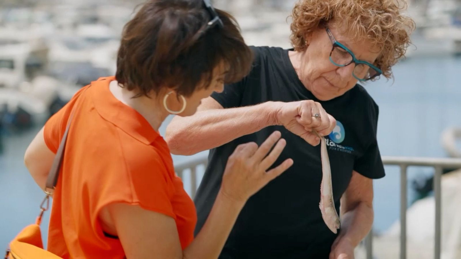 La recepta perduda – Aranya amb patates a Blanes - La recepta perduda | Veure