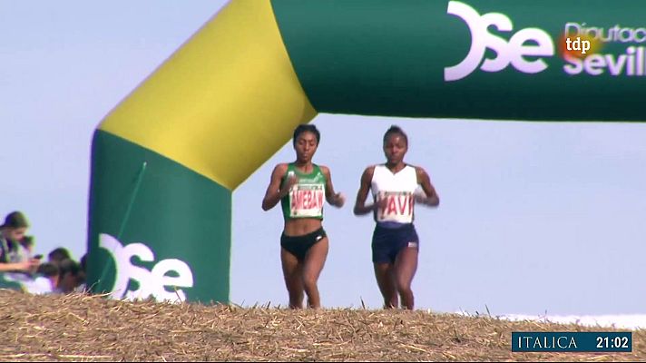 Cross - Carrera Femenina y Masculina
