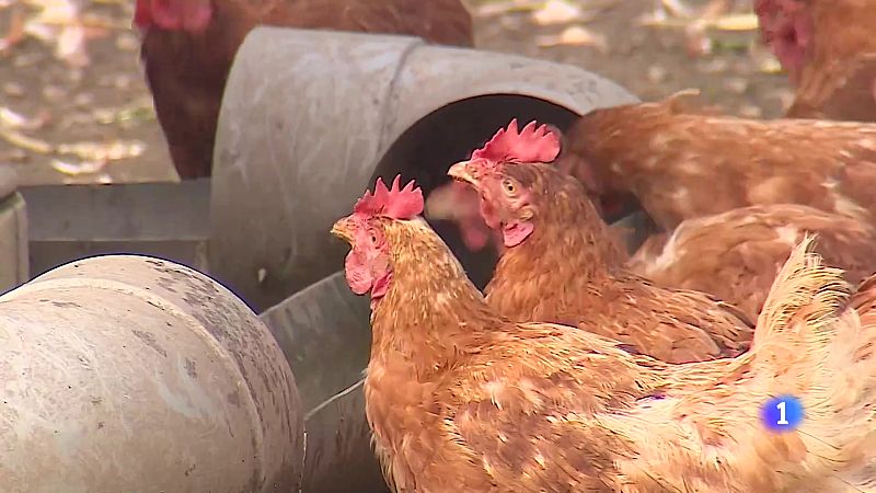 Panorama Regional - 10/11/2025 - Ver ahora