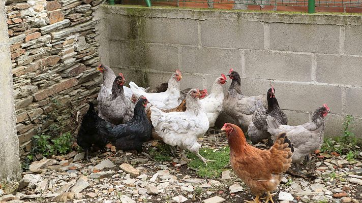 Telediario 1 - Telediario - 15 horas - 10/11/25