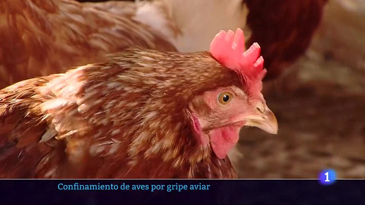 Informativo Telerioja - Informativo Telerioja 2 - 10-11-2025