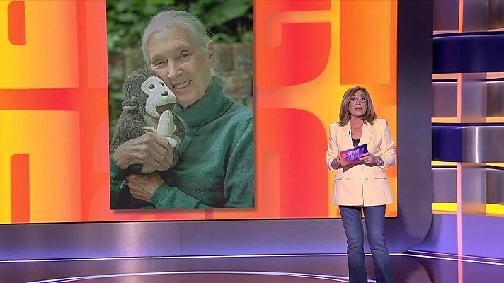 Saber y ganar - Saber y ganar - 10/11/25