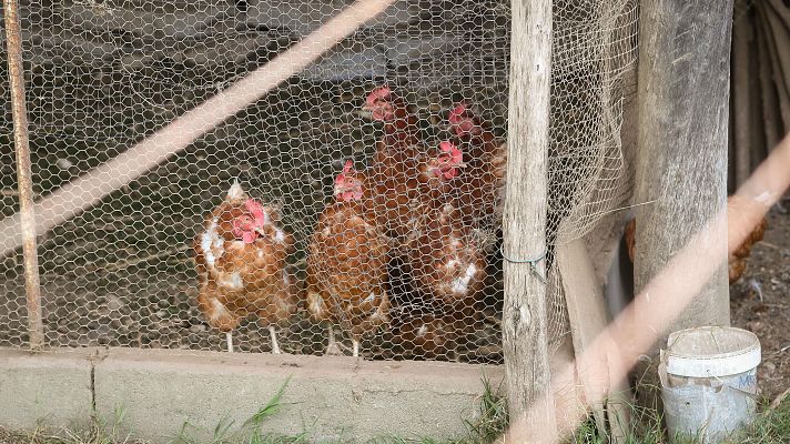 La economía - La economía - 10/11/25