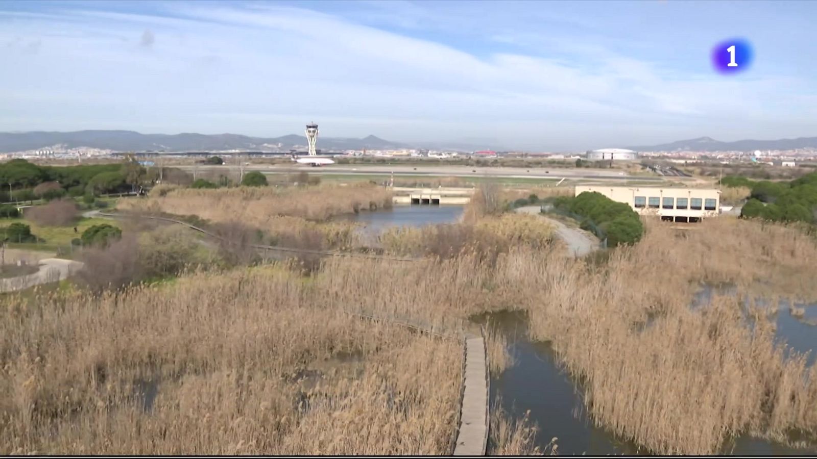 Aena anuncia la licitació del pla director per a ampliar l’aeroport del Prat - L'Informatiu | Veure