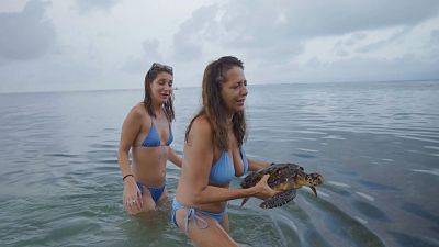 Yolanda y Ainoa liberan una tortuga marinas en Panamá