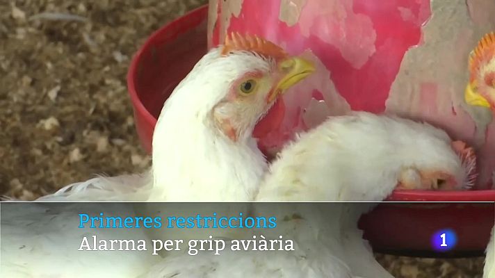 Informatiu Balear - Informatiu Balear 2 - 12/11/25