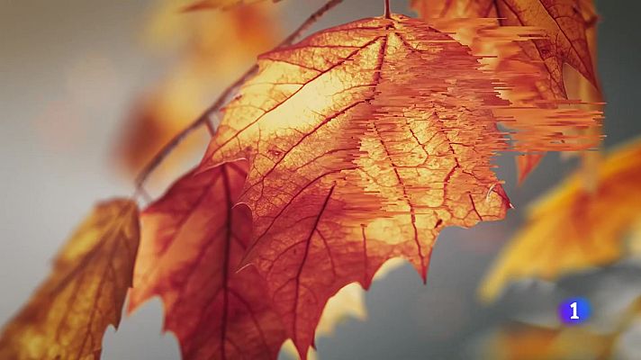 Noticias Andalucía - El tiempo en Andalucía - 12/11/2025