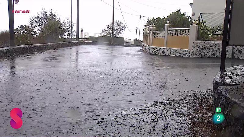 Somos 8 - 12/11/2025 - Somos 8 | Ver