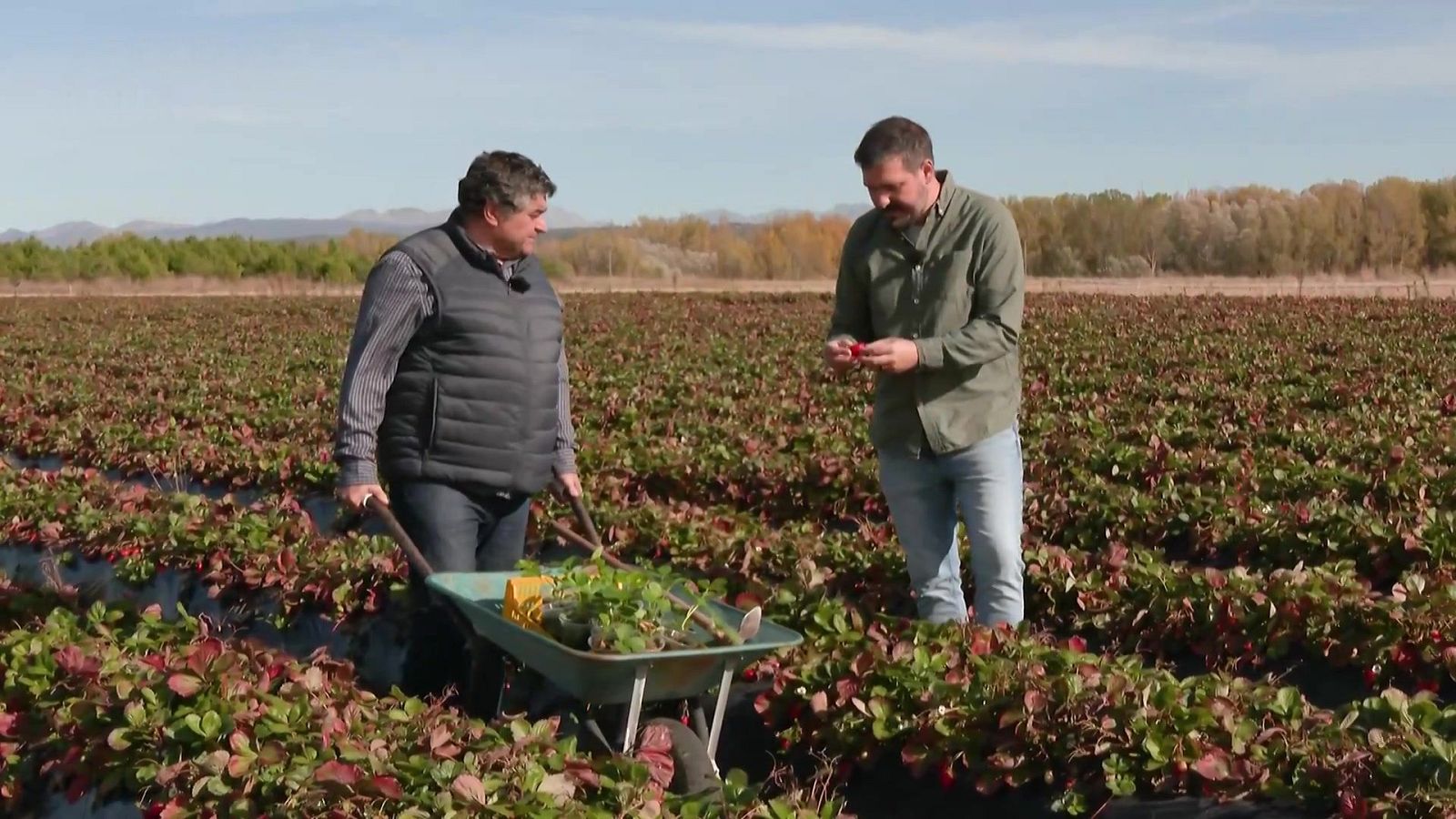 Aquí la Tierra - 12/11/25 - Aquí la Tierra | Ver