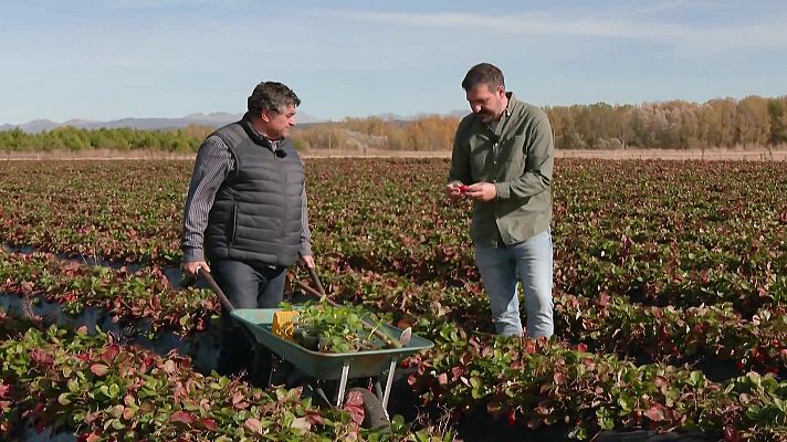 Aquí la Tierra - Aquí la Tierra - 12/11/25