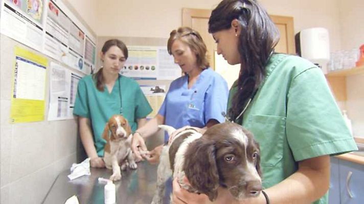 Tenemos chico nuevo en la oficina - Capítulo 11