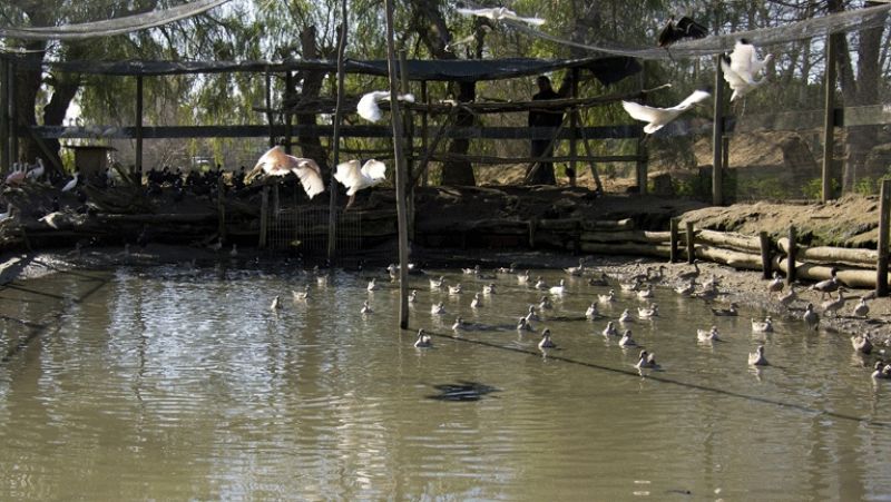 España cuenta con miles de humedales, muchos de ellos en peligro | Ver