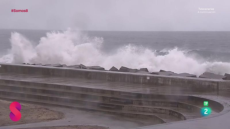 Somos 8 - 13/11/2025 - Somos 8 | Ver