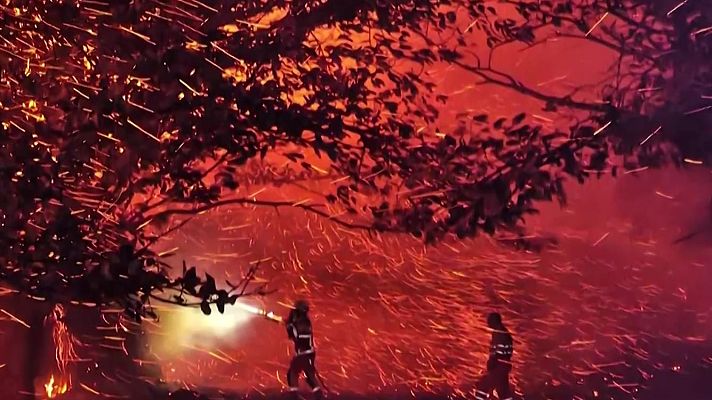 Mañaneros 360 - Castaños centenarios arden en Cantabria