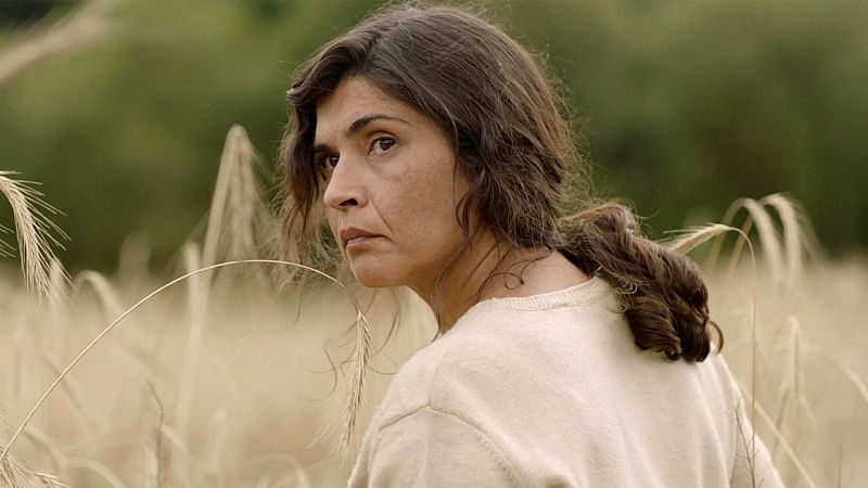 Somos cine - O corno