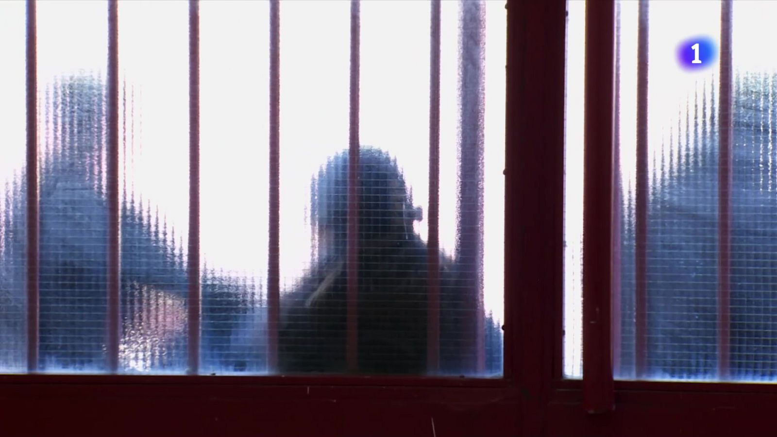 Alumnes amb necessitats especials: falta suport sanitari a les escoles