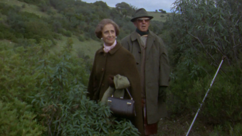 “La escopeta nacional”, Francisco Franco participa en una jornada de caza en Ciudad Real - Fue noticia en el Archivo de RTVE | Ver