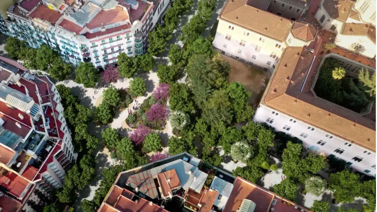 Vista aérea de una zona urbana con edificios de diferentes estilos y vegetación abundante, incluyendo árboles con flores rosas y caminos serpenteantes.