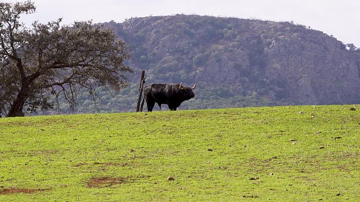 Tendido cero - Tendido Cero - 15/11/25