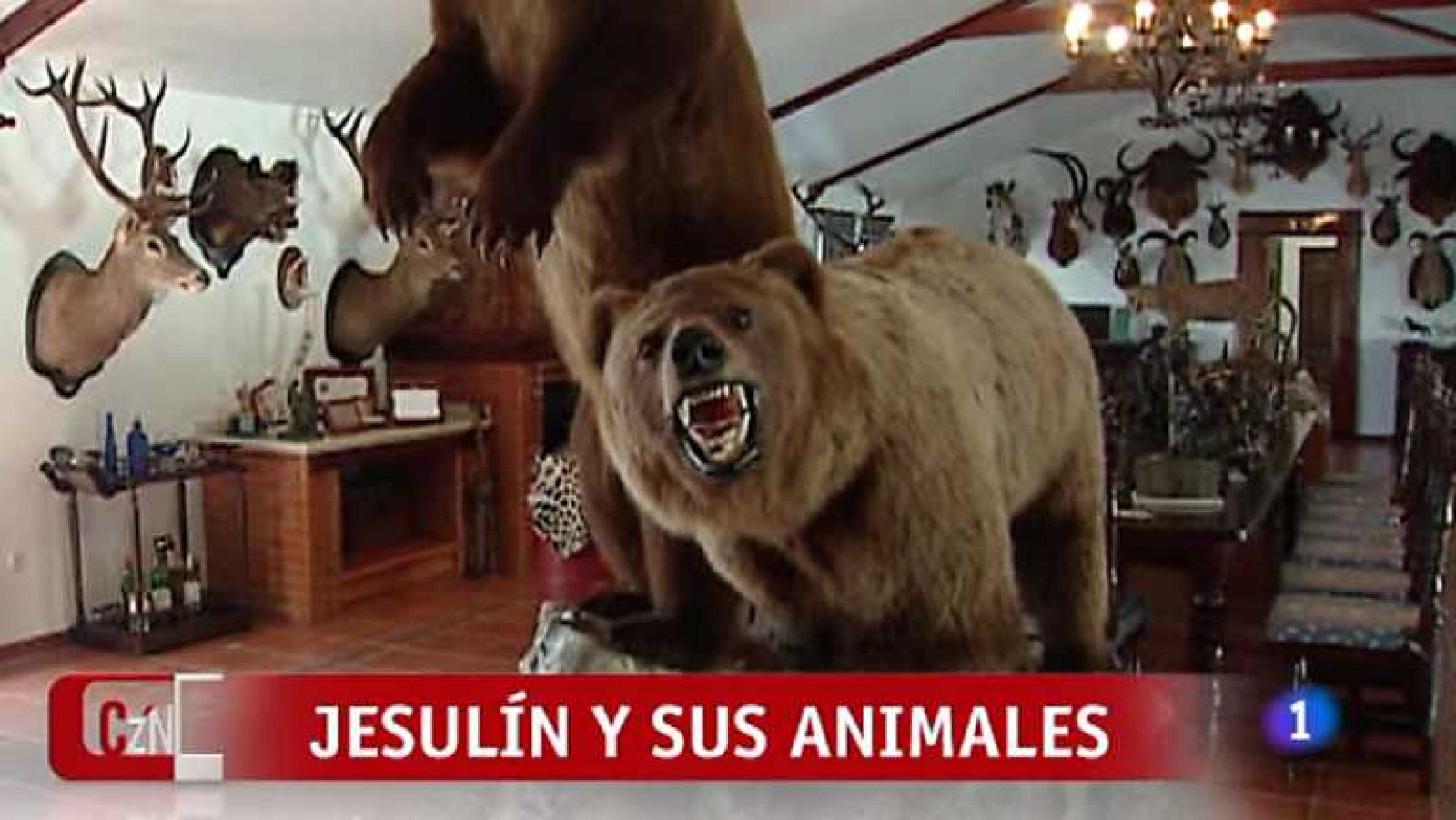 Corazón - 03/02/13 - ver ahora