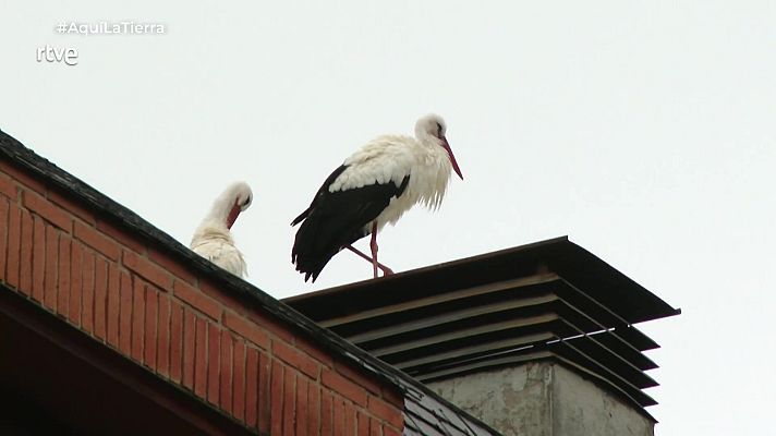 Aquí la Tierra - Aquí la Tierra - 17/11/25