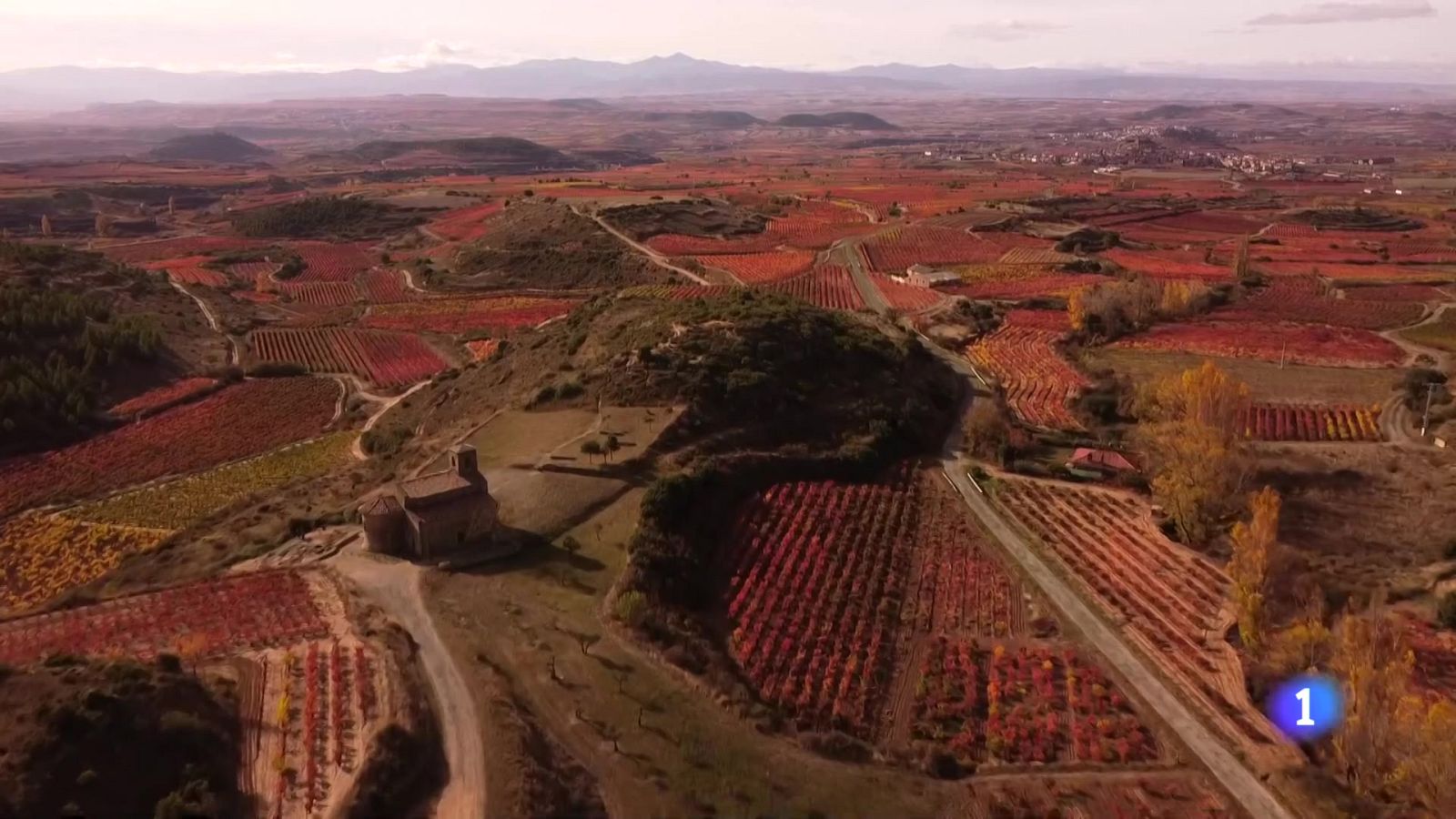 Informativo Telerioja 18-11-2025 - Informativo Telerioja | Ver