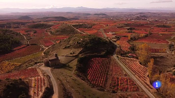 Informativo Telerioja - Informativo Telerioja 18-11-2025