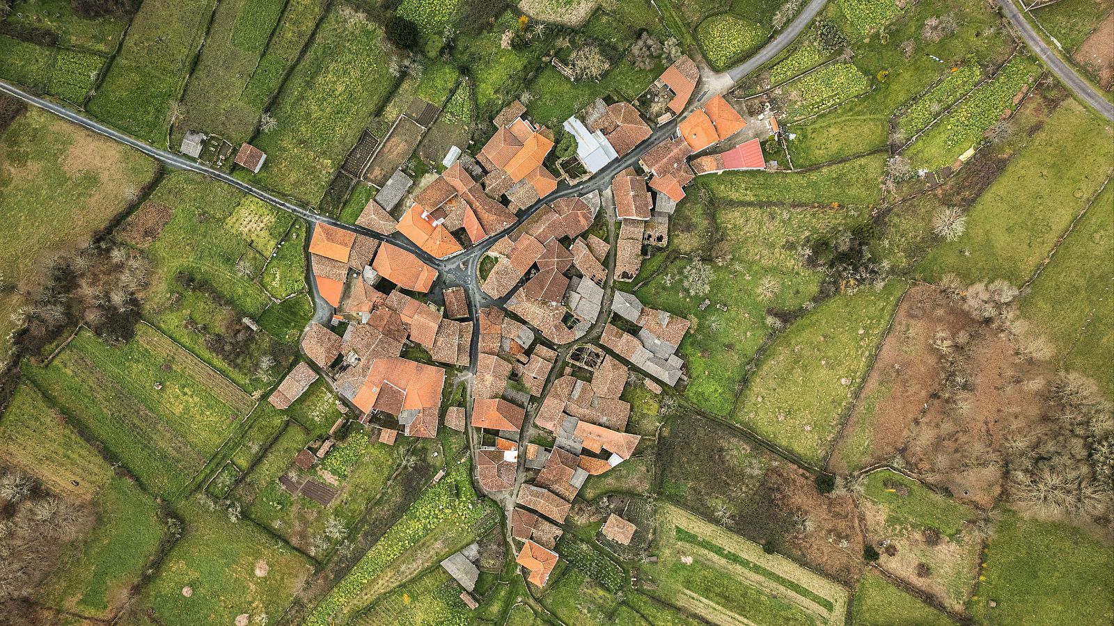 Jóvenes se plantean dejar la ciudad y vivir en una zona rural - Telediario 1 | Ver