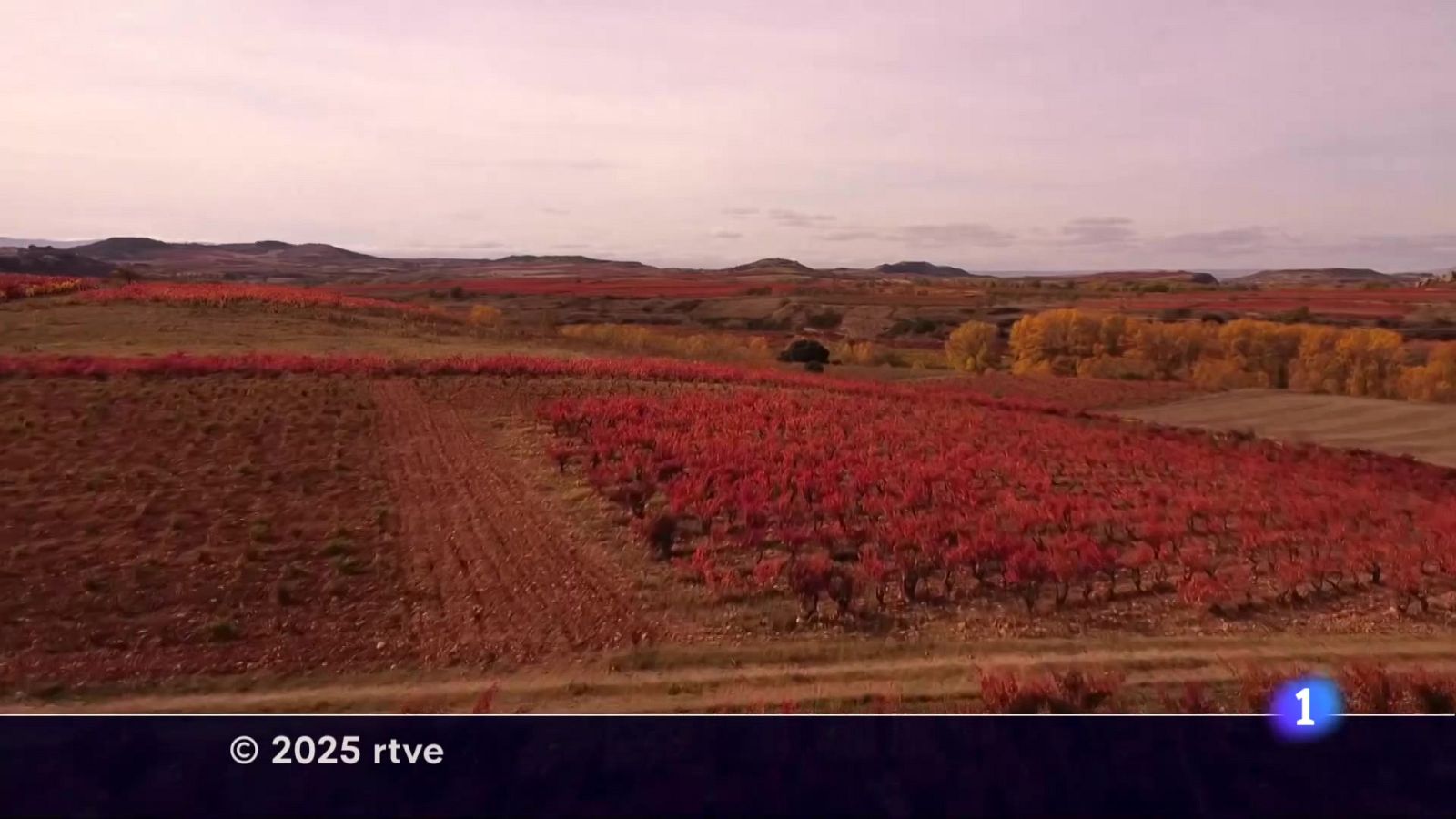 Informativo Telerioja 2 - 18-11-2025 | Ver