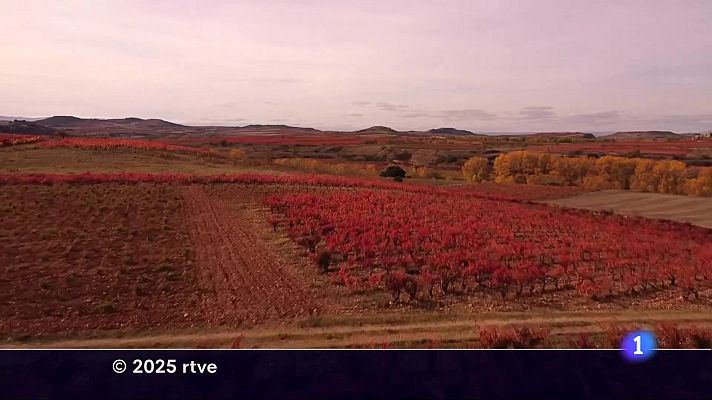 Informativo Telerioja - Informativo Telerioja 2 - 18-11-2025