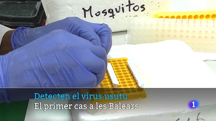 Informatiu Balear - Informatiu Balear 1 - 19/11/25