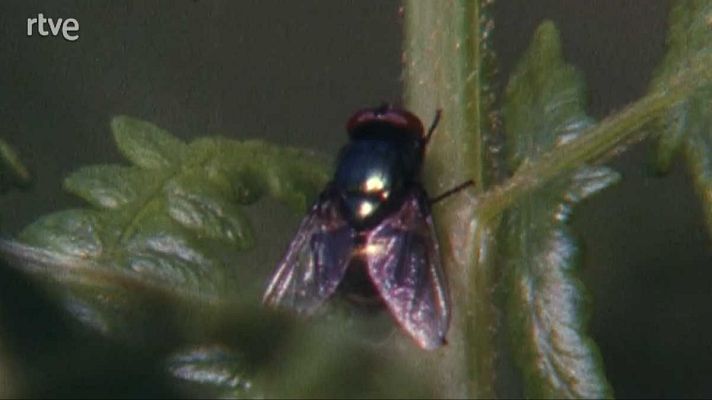 Silencio roto - Contacto azul