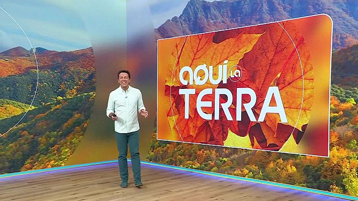 Aquí la Terra - Trinxat de bolets, moniato farcit i tortell de Reis