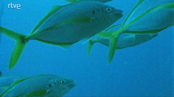 Silencio roto - Rutas invisibles