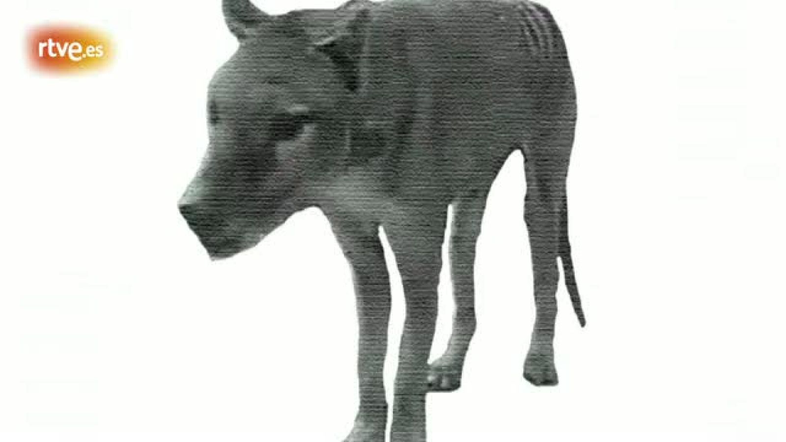 Metrópolis con el Festival Punto de Vista - Metrópolis | Ver