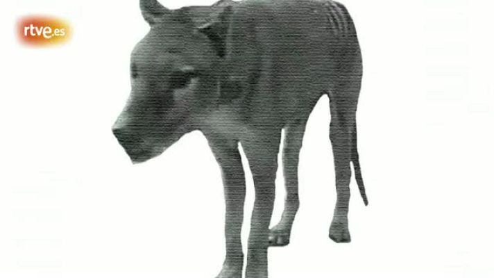 Metrópolis - Metrópolis con el Festival Punto de Vista