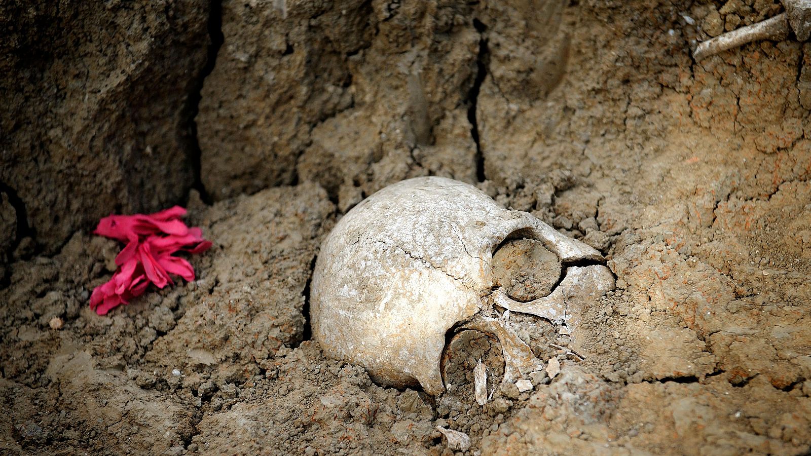 Fosa de San Rafael - Noticias Andalucía | Ver